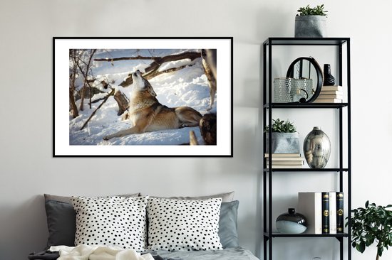 Loup eurasien hurlant 120x80 cm