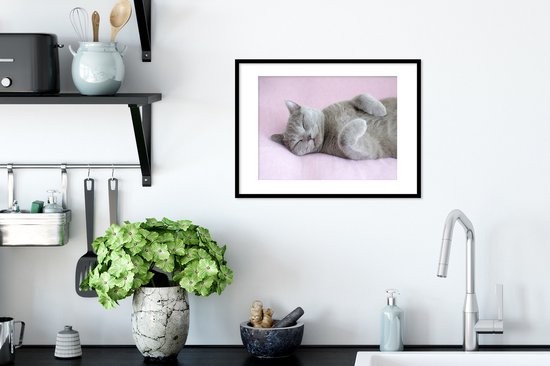 Chat gris dort sur un tapis rose 30x20 cm - petit