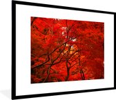 Photo en cadre - Cadre photo Feuilles rouges en forêt d'automne noir avec passe partout blanc 60x80 80x60 cm - Affiche encadrée (Décoration murale salon / chambre)