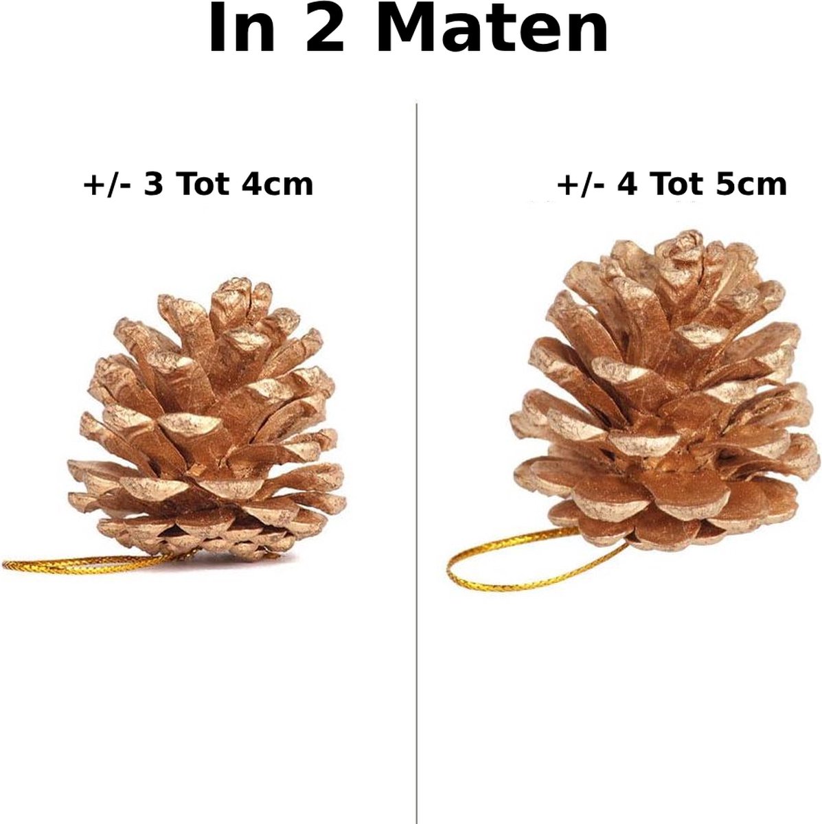 18 Pièces Mini Pommes De Pin Décoratives Naturelles