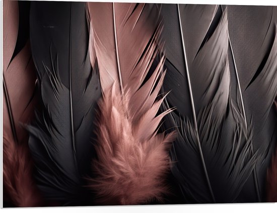PVC Schuimplaat- Rij Zwarte en Roze Veren - 80x60 cm Foto op PVC Schuimplaat