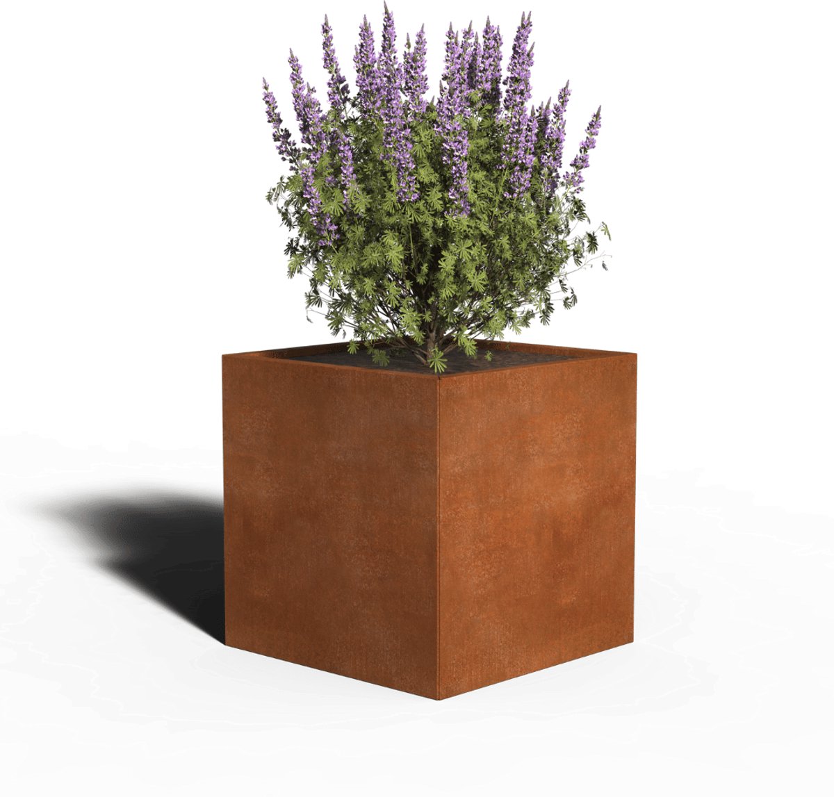 Cortenstaal Plantenbak Vierkant | 60 x 60 x 80 | Zonder bodem