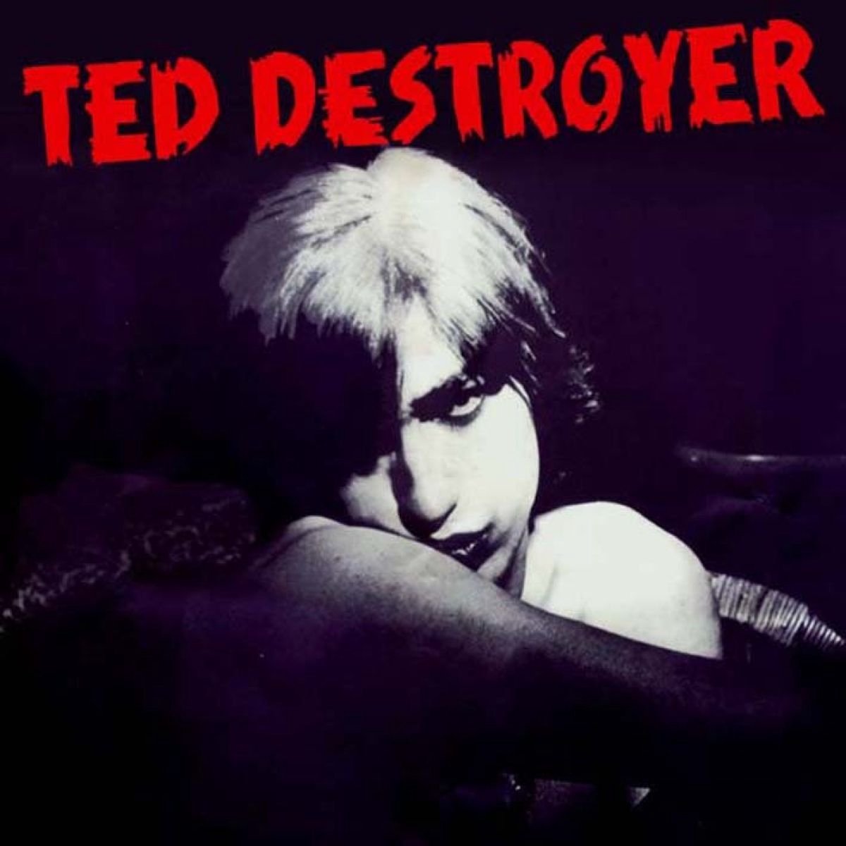 Ted Destroyer - Ted Destroyer