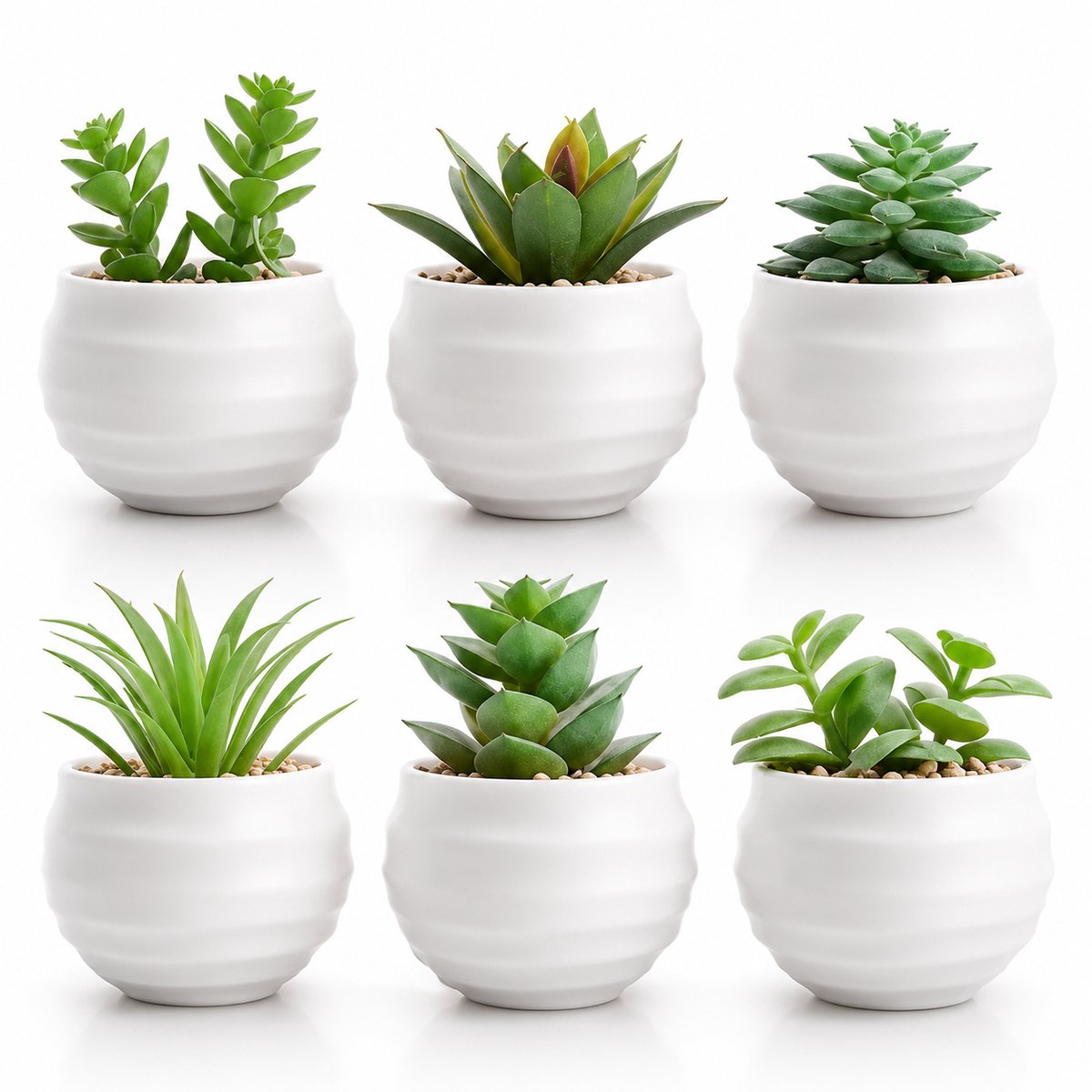 BOTC Kunstplanten in Pot - Set van 6 Kleine Kunstplanten - Kunstmatige Succulenten & Vetplanten - Decoratie voor Woonkamer, Slaapkamer & Bureau Wit