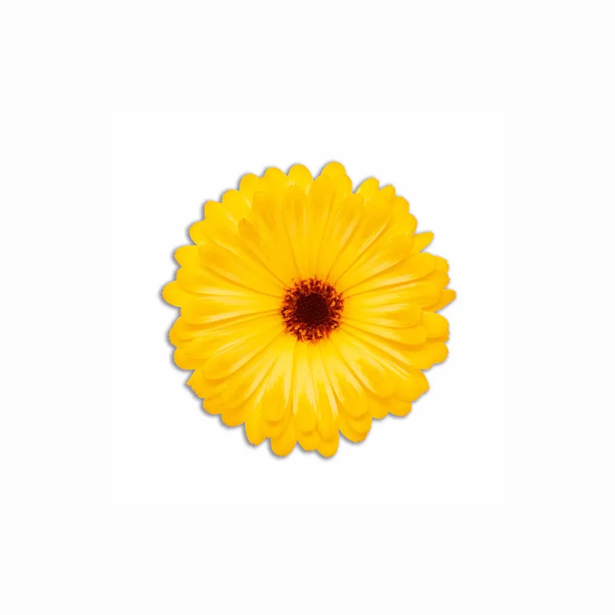 Ronde gekleurde PVC Placemat Bouquet Lente - Gele Bloem - Ø35 cm – Afwasbare Tafel Placemat – Made in Italy