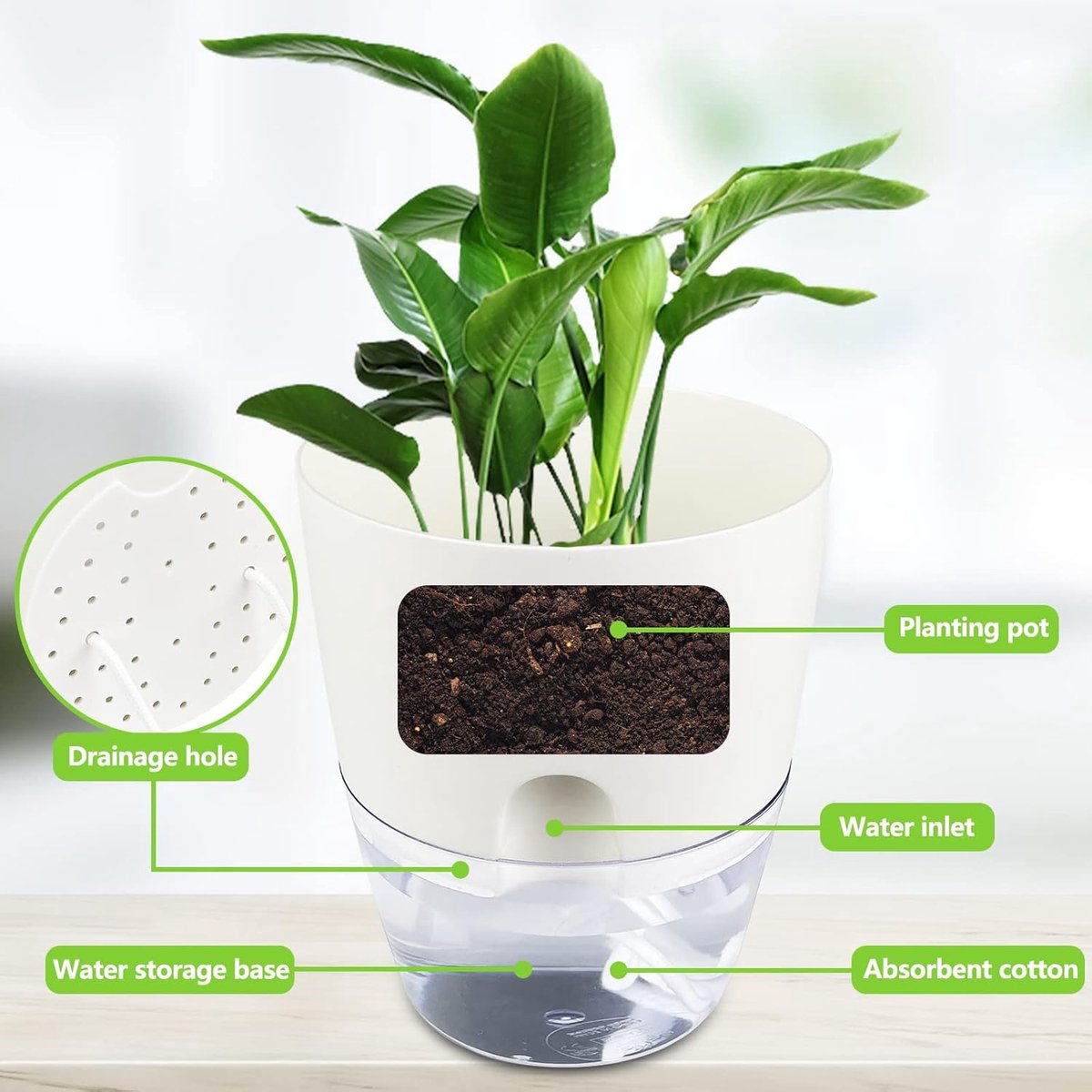 Zelfwaterende Kruidenpotjes Set van 3 – Kruidenpot met Waterreservoir – bloempot - Bloempot voor Keuken, Vensterbank en Balkon – Moderne Zelfbewaterende Plantenpot voor Binnen — cadeau in Kookcadeaus - foto 4