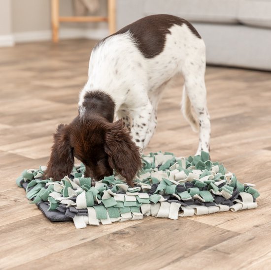 Een bruine puppy met witte vlekken snuffelt in een grijze, witte en groene snuffelmat op een houten vloer.