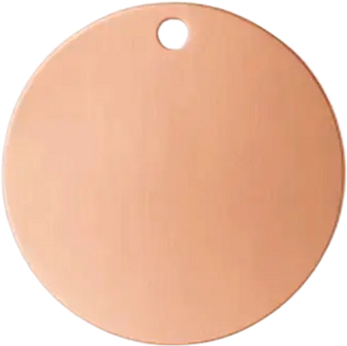 Rosé RVS Ronde Dierenpenning – Elegant, Duurzaam & Persoonlijk Gegraveerd (2cmx2cm)