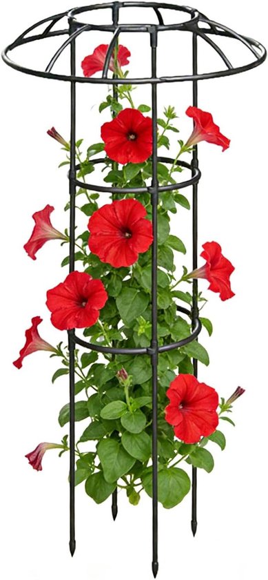 Klimplantsteun - Plantenkooi Steun - Verticale Groei - Stabiele Frameconstructie - 100 cm - Zwart