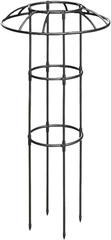 Planten rankrooster - Klimplantsteun frame - Verticale plantengroei - Stabiele PP-gecoate buizen - 100 cm - Zwart