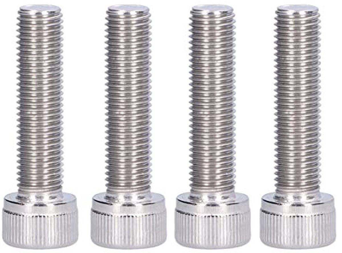 Dailygoods - Zeskantbouten M10 van Roestvrij Staal, Set van 4 Stuks