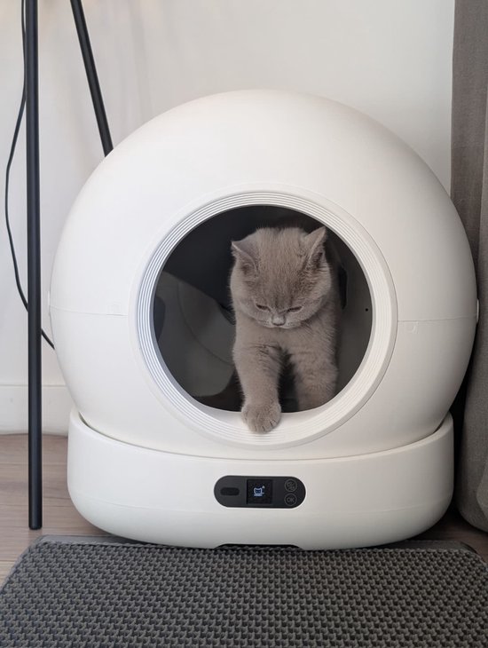 Een grijze kitten stapt uit een witte, ronde automatische kattenbak.