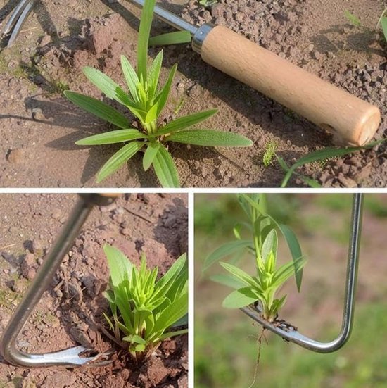 Onkruidverwijderaar Tuin - Paardenbloem Trekker - Gazon Onderhoud - Hefboom Voetpedaal - 2 stuks - Grijs — afbeelding 5
