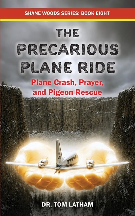 Shane Woods-The Precarious Plane Ride - cover