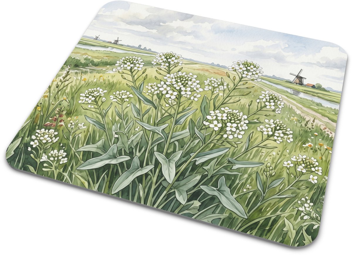 Muismat pijlkruidkers in bloei - Aquarel Hollands weidelandschap met windmolens - Botanische illustratie kantoor