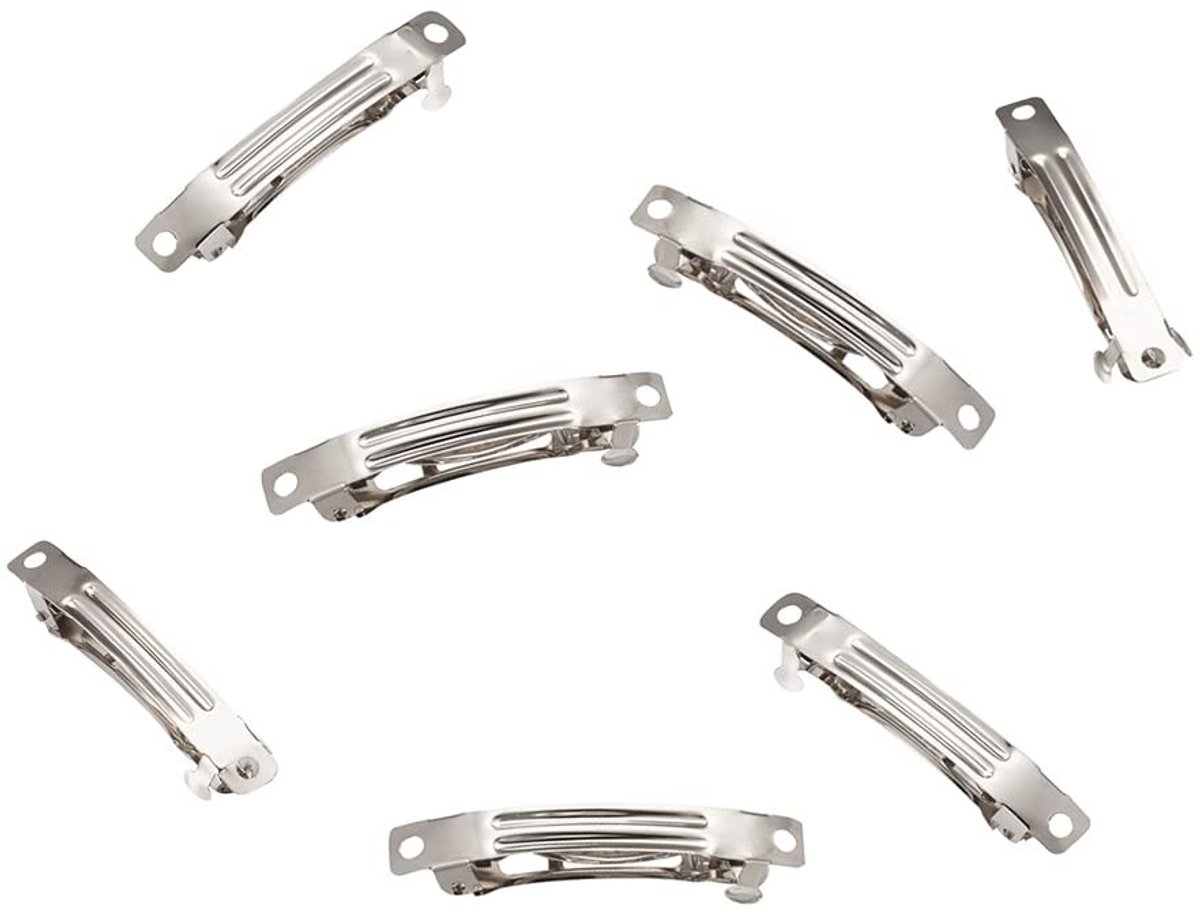 Dailygoods - Set van 20 IJzeren Franse Haarspeldjes 39 mm voor Haaraccessoires