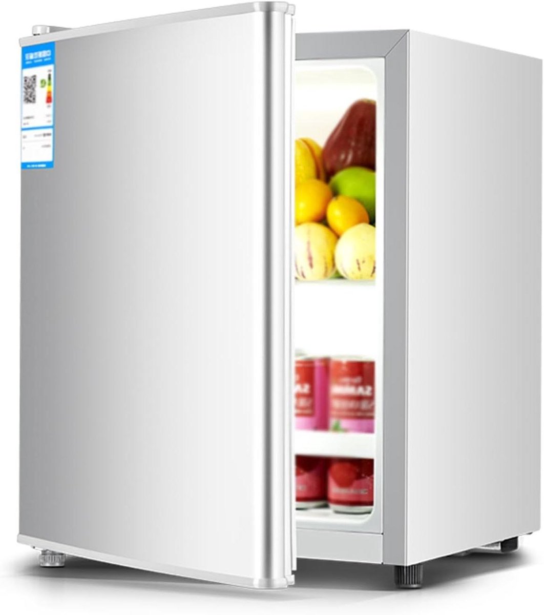 Compacte Koelkast Mini Koelkast Dranken Koelen Energiebesparend 22 Liter Zilver