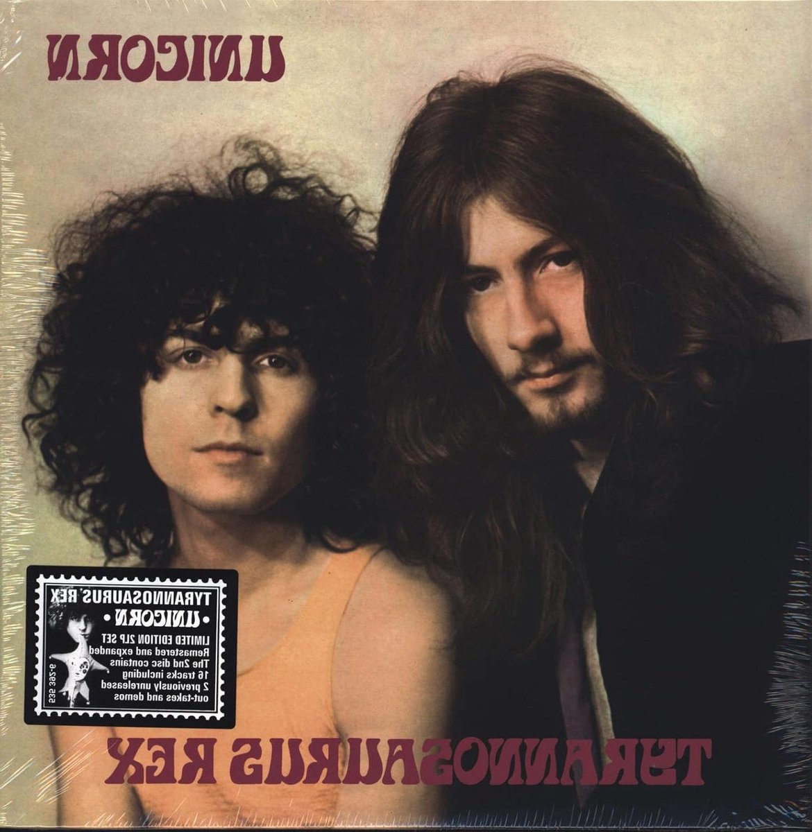 Muziek Album - Dubbel LP - Muziek Luisteren - Inclusief Download - 30 cm - Zwart