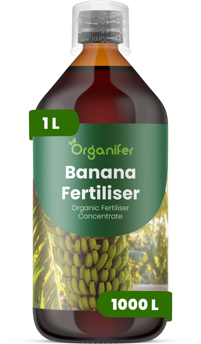 Vloeibare Meststof Voor Banaan 1 L Voor 1000 L - Npk 2-1-8 - Krachtige Groei - Tropisch Blad - Bladgrootte - Snelle Vegetatieve Ontwikkeling - Sterk Wortelstelsel - Hittebestendig - Felle Zon- Herstel Na Snoei - Organifer