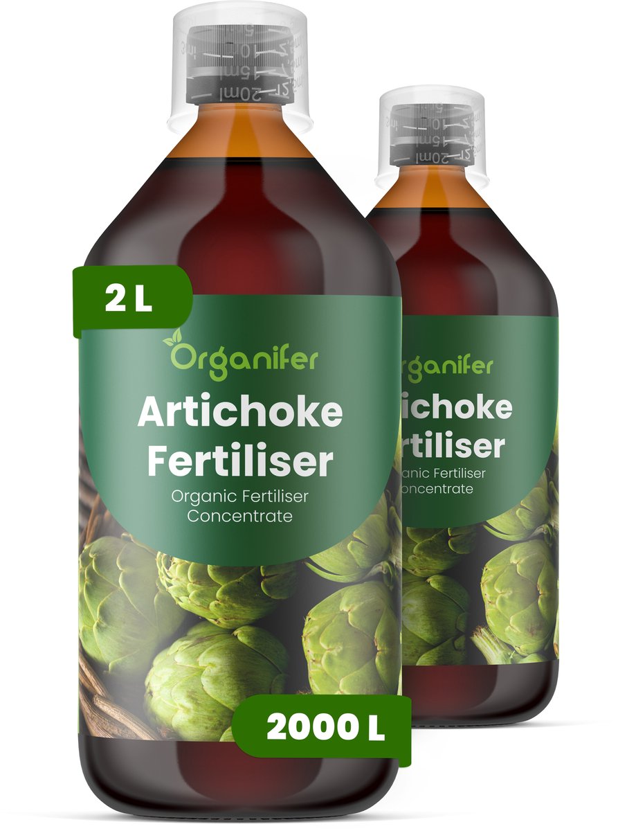 Vloeibare Meststof Voor Artisjok 2X1 L Voor 2000 L - Npk 2-1-8 - Krachtige Groei - Rechtopstaand Blad - Knopvorming - Grotere Artisjokkoppen - Sterke Plantstructuur - Efficiënt Watergebruik - Diepe Wortelgroei -Hoge Opbrengst - Organifer
