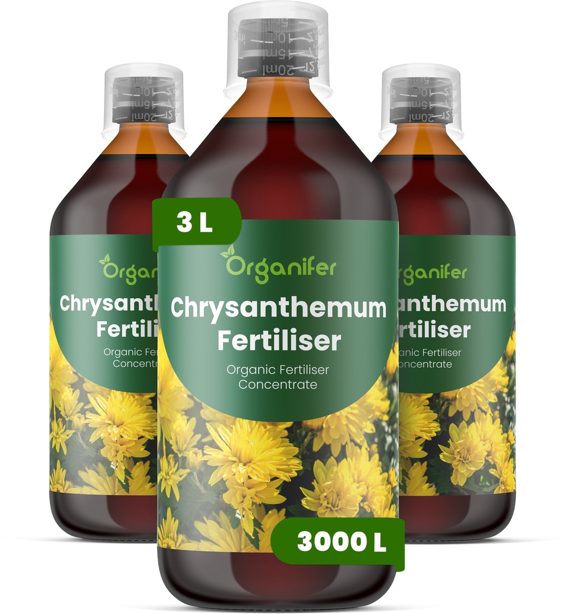 Vloeibare Meststof Voor Chrysanten 3X1 L Voor 3000 L - Npk 2-1-8 - Rijke Knopvorming - Sterke Wortels - Stressbestendig - Stengelsterkte - Bloemduur - Snijbloemen - Intense Kleurontwikkeling - Betrouwbare Bloei - Organifer