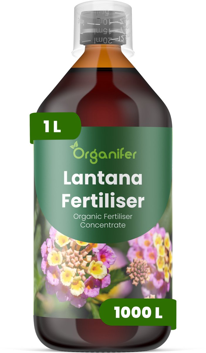 Vloeibare Meststof Voor Lantana 1 Voor 1000 L - Npk 2-1-8 - Continue Bloei - Kleurintensiteit - Bloemgrootte - Bloeiduur - Sterke Stengels - Compacte Plant - Hittebestendig - Plantweerbaarhei - Snel Herstel Na Snoei - Organifer