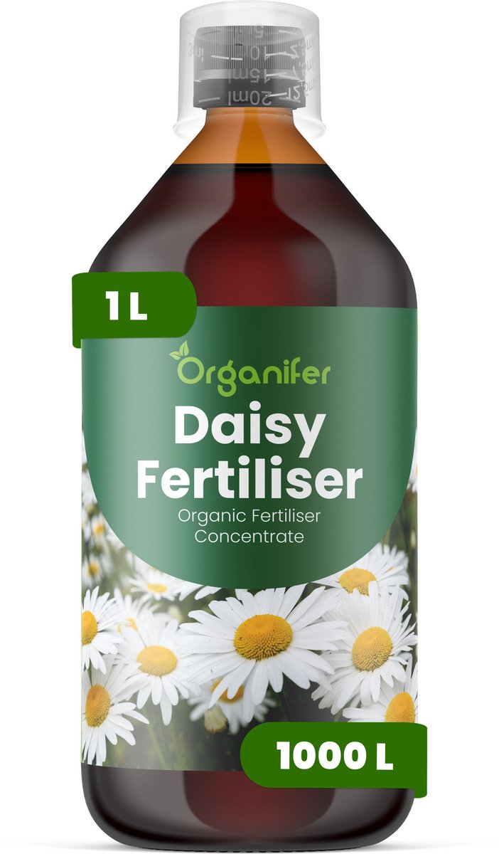 Vloeibare Meststof Voor Margriet 1 L Voor 1000 L - Npk 2-1-8 - Krachtige Groei - Rijke Bloei - Heldere Bloemen - Sterke Wortels -Continue Bloei- Betredingsbestendig - Kleurintensiteit - Langdurige Bloei - Herhaalde Bloeicycli - Organifer