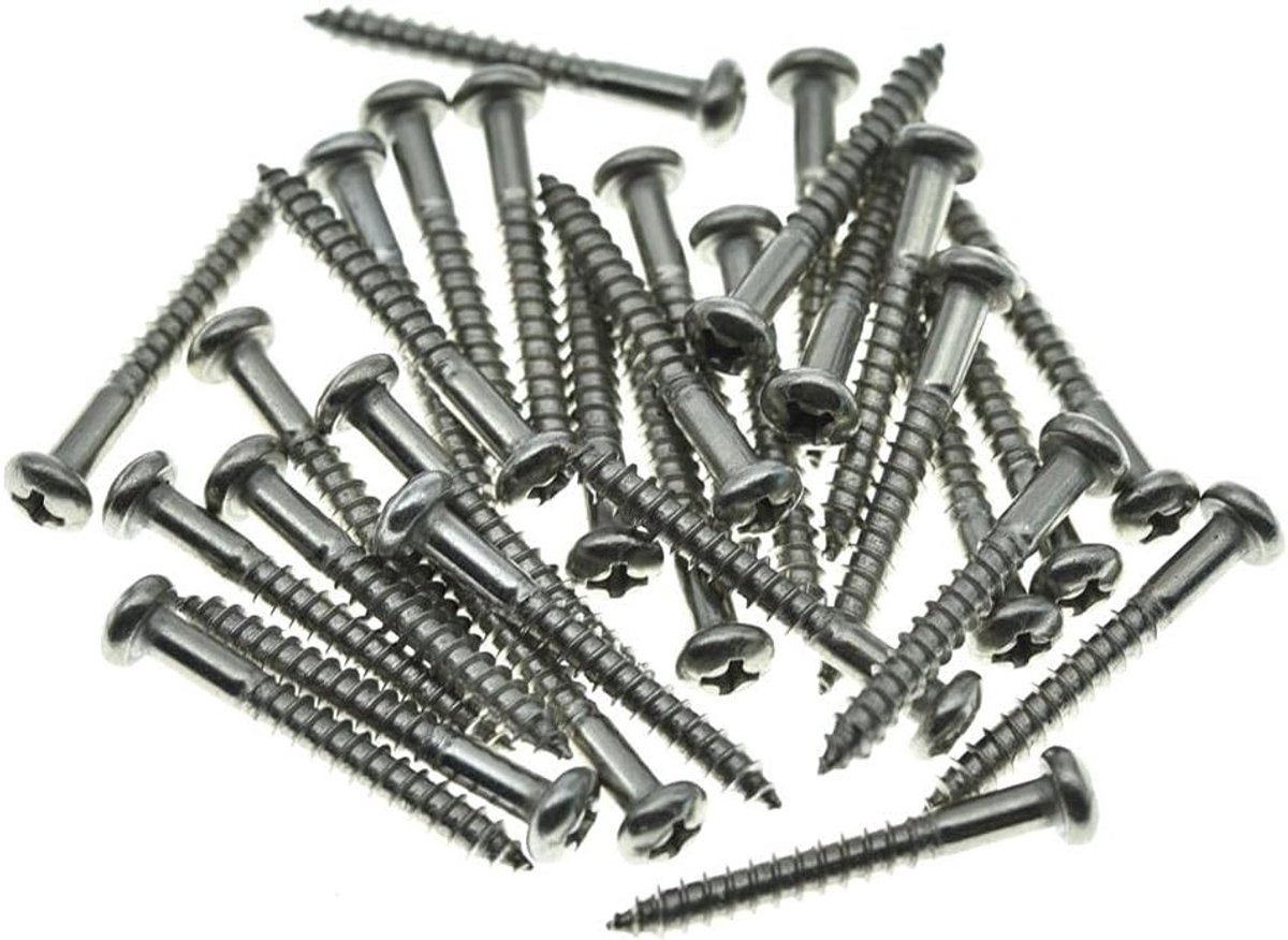 30 Stuks RVS Phillips Vintage Style Gitaar Tremolo Bridge Bevestigingsschroeven voor Fender Stratocaster en Andere Gitaren