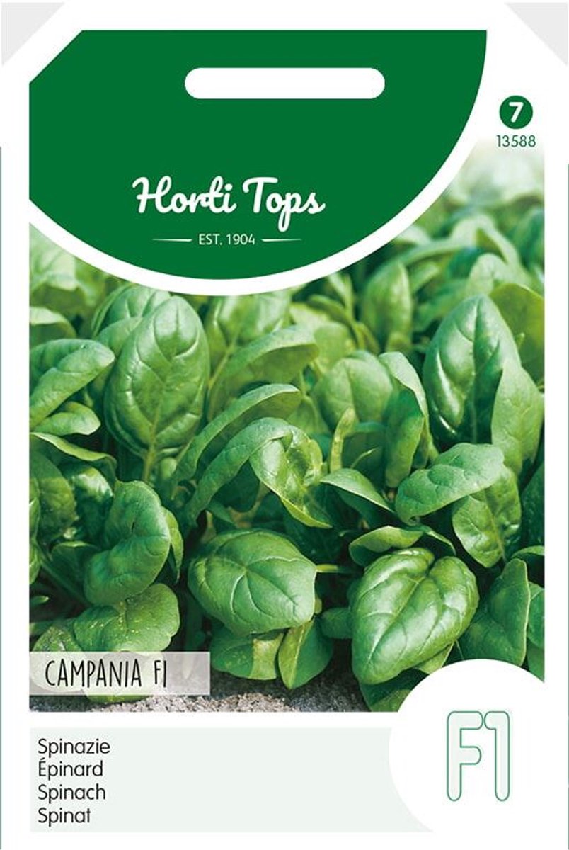 Spinazie Campania F1 - 50 gr