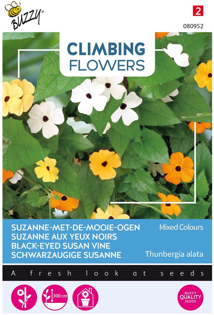 Buzzy  Flowering Climbers Thunbergia Mixed Bloemzaad
