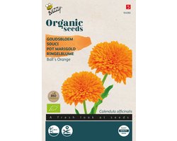 Buzzy® Organic Goudsbloem Orange Ball's (BIO)
