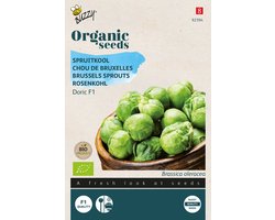 Buzzy® Organic Spruitkool Doric F1 (BIO) - Biologische spruitjes met een milde smaak