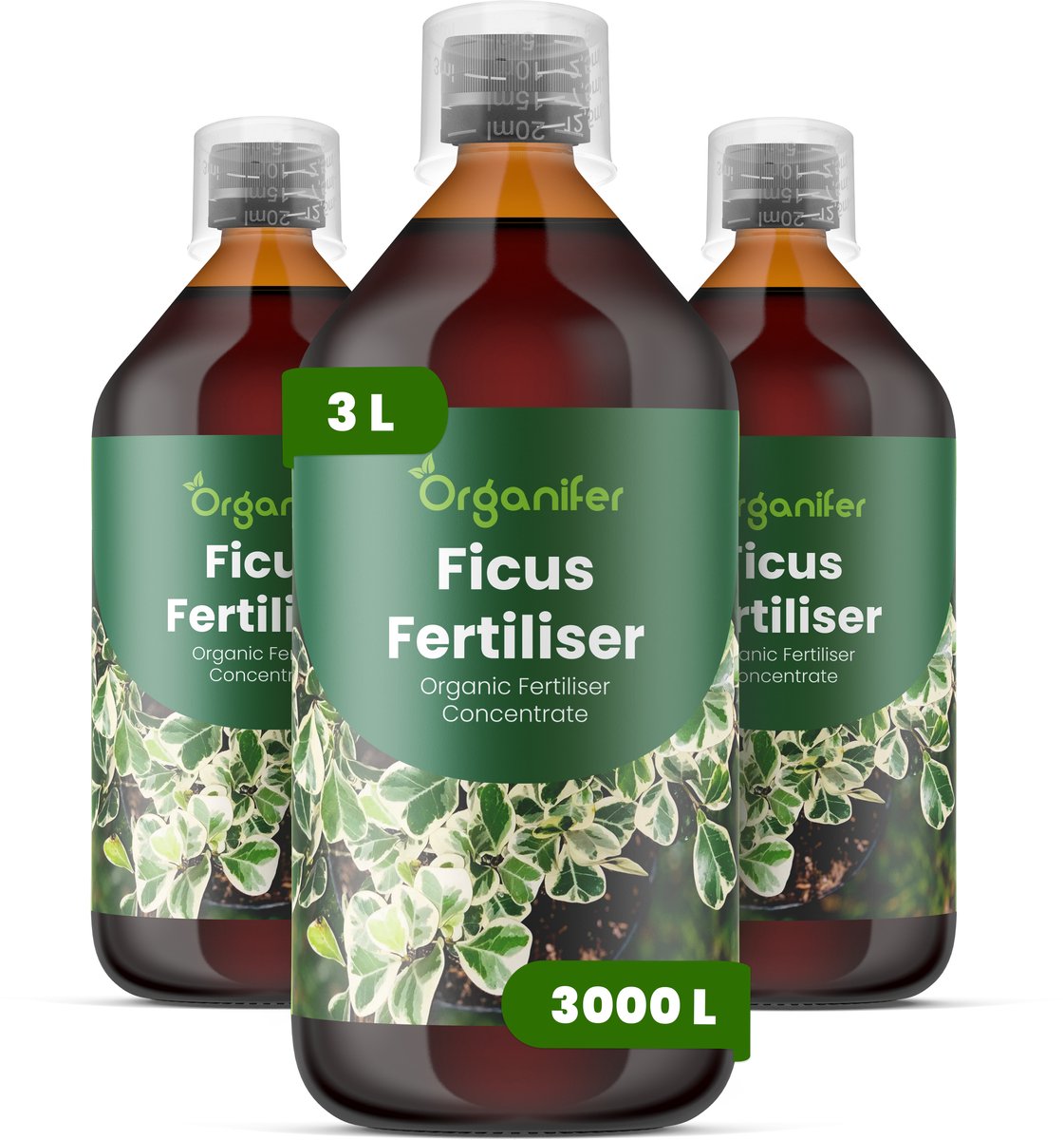 Vloeibare Meststof Voor Ficus - 3X1 L Voor 3000 L - Npk 2-1-8 - Krachtige Groei - Donkergroen Blad - Stevige Bladstructuur - Compacte Groei - Bladval Voorkomen - Verbetert De Efficiëntie Van Nutriëntenopname - Organifer