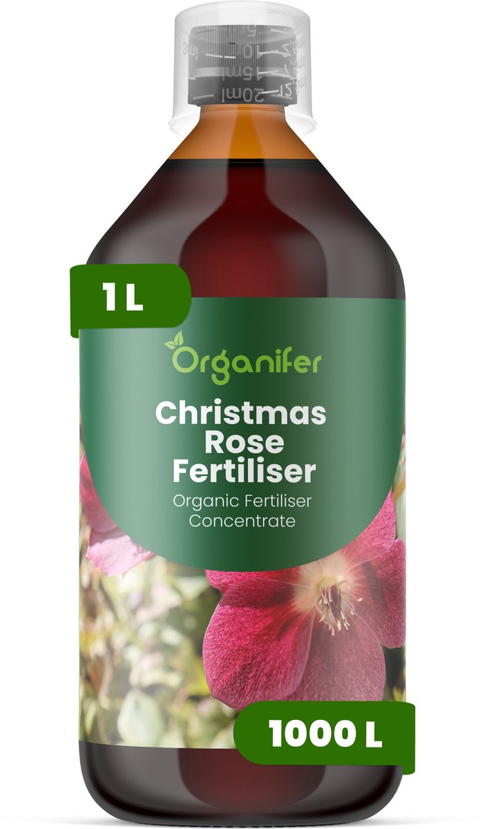 Vloeibare Meststof Voor Kerstroos 1 L Voor 1000 L - Npk 3-4-3 - Krachtige Groei - Knopontwikkeling - Sterke Wortels - Stevige Bloemen - Goed Gevormde Bloemen - Bladgezondheid - Rijke Bloei - Jaarrond Sierwaarde - Organifer