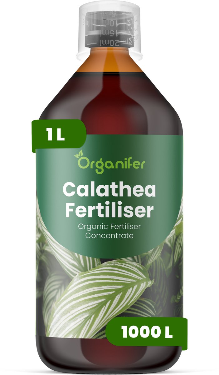 Vloeibare Meststof Voor Calathea 1 L Voor 1000 L - Npk 2-1-8 - Krachtige Groei - Patroonhelderheid - Bladlevendigheid - Sterk Wortelstelsel -Compacte Groei - Bladontplooiing - Plantsymmetrie - Gezonde Scheutvorming - Organifer