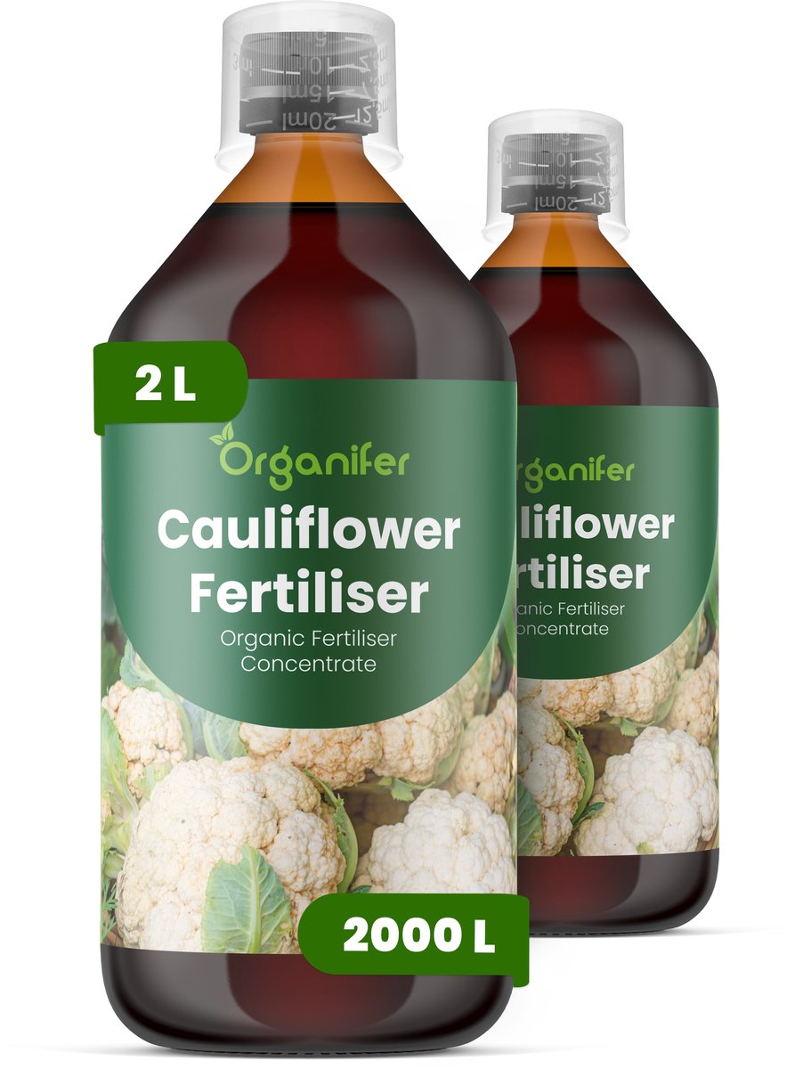 Vloeibare Meststof Voor Bloemkool 2X1 L Voor 2000 L - Npk 2-1-8 - Kruisbloemig Gewas - Sterke Wortelontwikkeling - Uniforme Kropgrootte - Bladomsluiting - Stressbestendig - Brassica-Groenten - Organifer