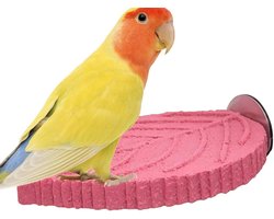 Papegaaienzitstok Plant Design - Vogel Zitstok Hars - Vogel Verzorging Klauwen - Natuurlijke Plant Vorm