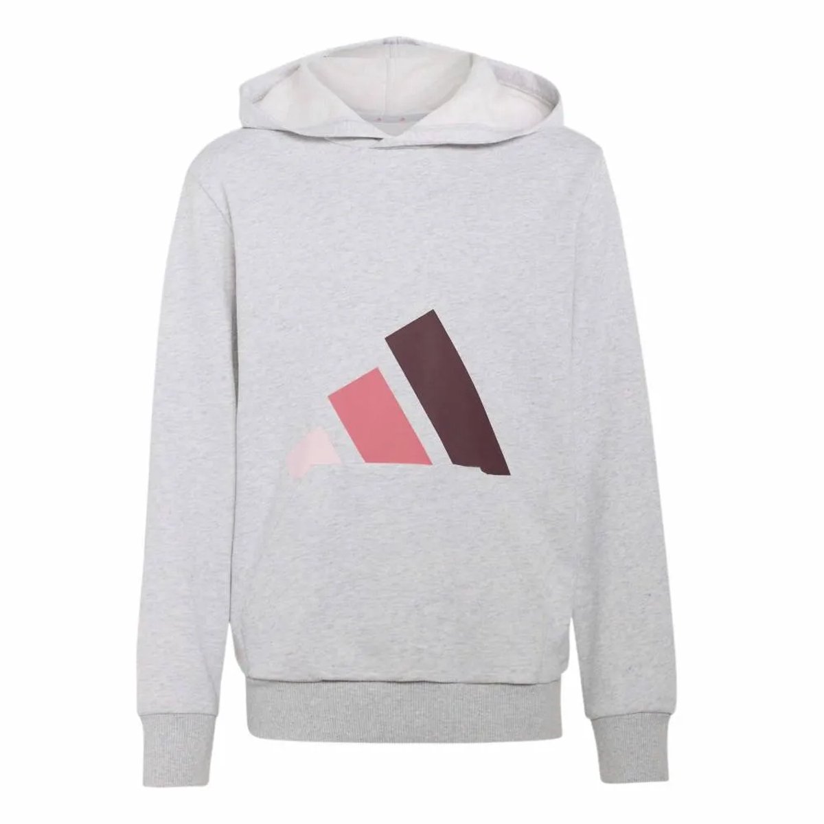 Adidas Essentials Hoodie 9-10 Years Kinderen Grijs