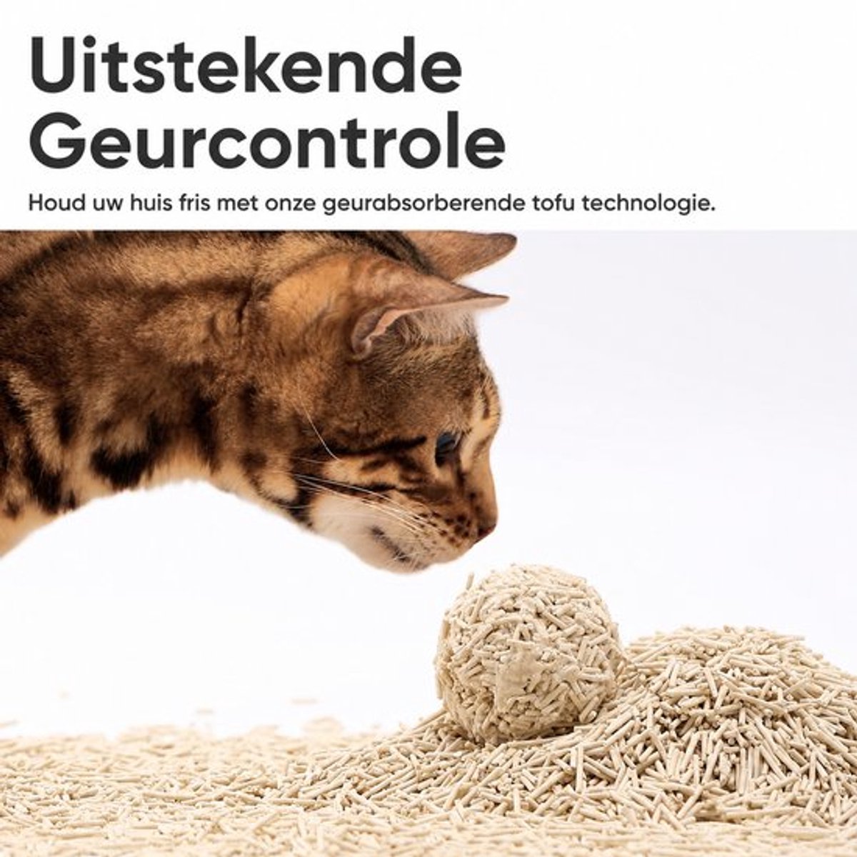 YYCHAN YYCHAN Ecohus XXL Kattentoilet - afbeelding 5