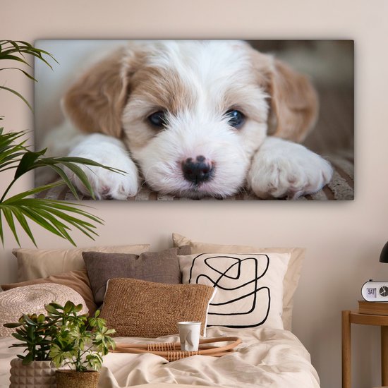 Tableau sur toile Gros plan d'un chiot Cavachon - 160x80 cm - Décoration murale