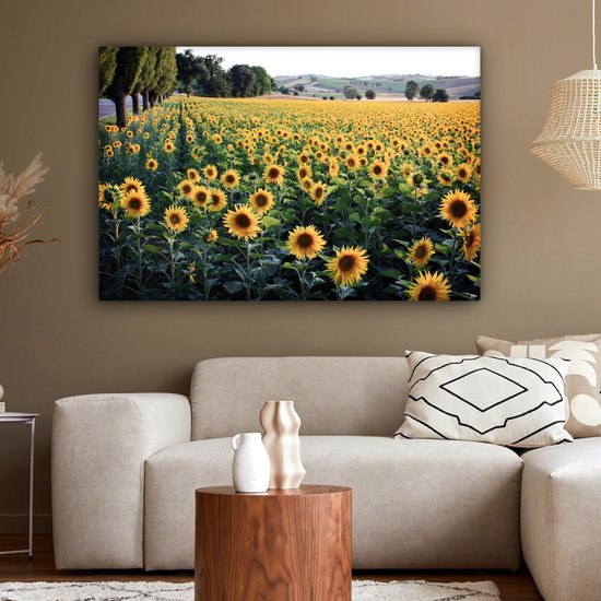 Peintures sur toile - Tournesol - Colline - Printemps - 120x80 cm - Décoration murale