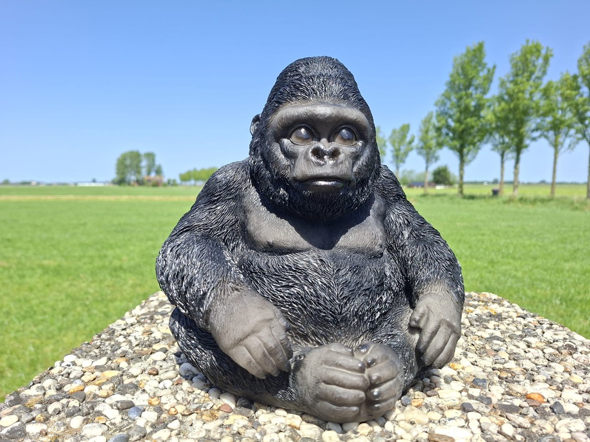 Gorilla Standbeeld – Realistische Zittende Baby Gorilla – 25 cm – Aap Decoratie voor Binnen en Buiten