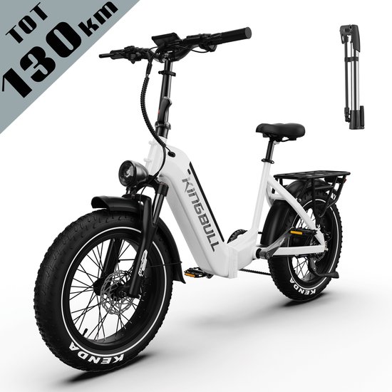 Elektrische Fatbike 20″ vankel Verve 960Wh 130 km Actieradius Shimano 8 Versnellingen Hydraulische Schijfremmen