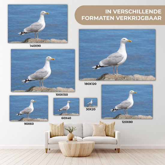 Un goéland argenté avec la mer en arrière-plan Toile 60x40 cm - Tirage photo sur toile (Décoration murale salon / chambre)