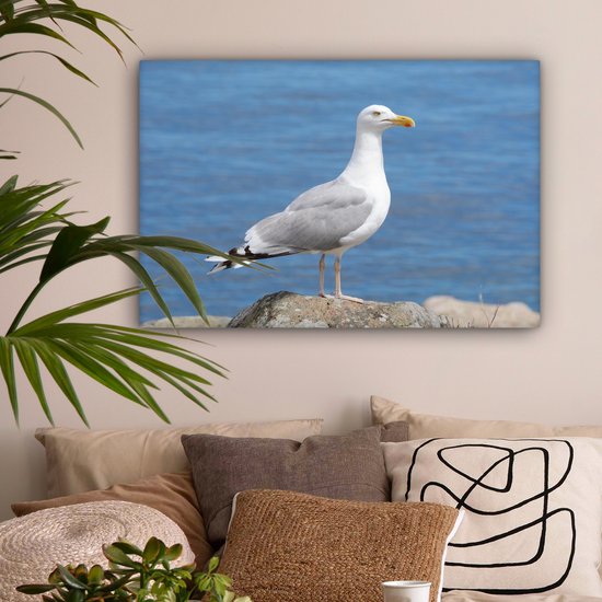 Un goéland argenté avec la mer en arrière-plan Toile 60x40 cm - Tirage photo sur toile (Décoration murale salon / chambre)