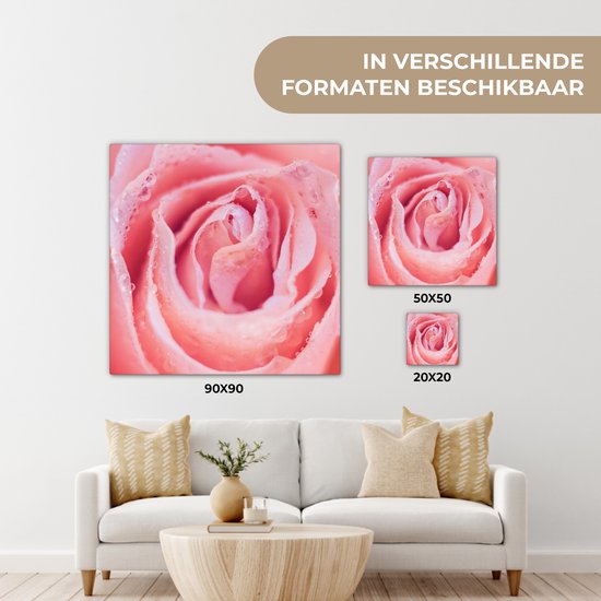Tableau sur toile Rosée du matin sur les pétales de rose rose - 50x50 cm - Décoration murale Art