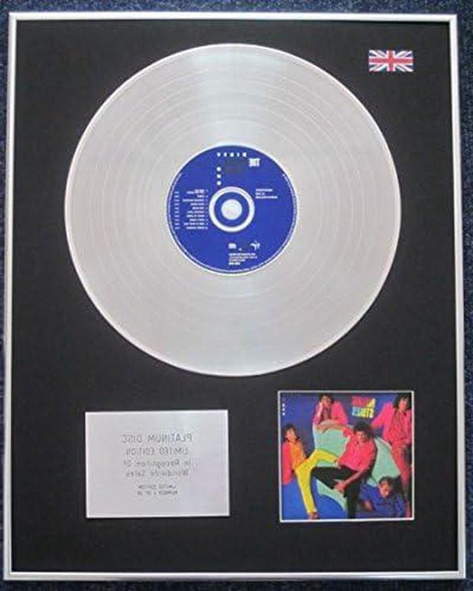 Platinum LP CD - Verzamelobject Muziek - Muurdecoratie - Limited Edition - 406 x 508 mm - Zilver