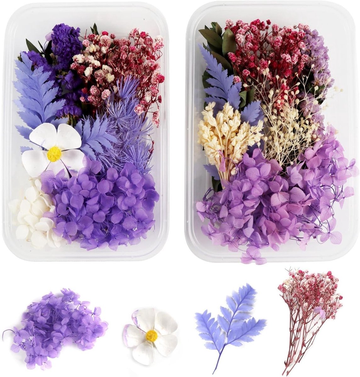 Set van 2 Natuurlijke Gedroogde Bloemen voor Creatieve Projecten, Persbloemen voor DIY, Resin en Scrapbooking