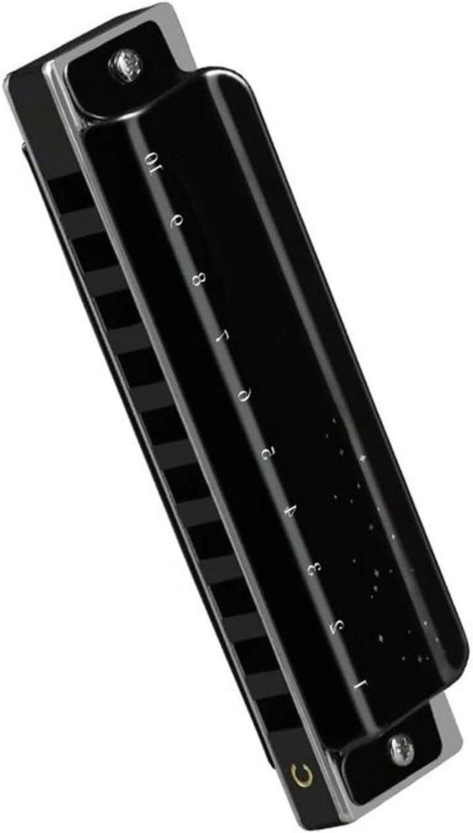 Diatonische Mondharmonica - Blues Harp - Muziek Maken - Fosforbronzen Riet - 10 Gaten - Zilver