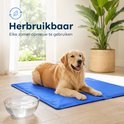 Golden retriever rustend op blauwe herbruikbare koelmat. Tekst: Herbruikbaar.